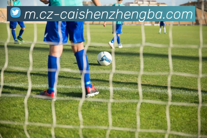 辅助工具 辅助工具